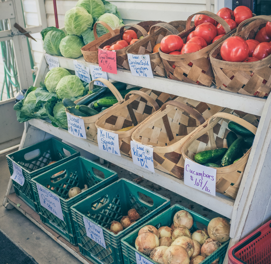 Food Services | Food Distributor.
